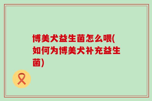 博美犬益生菌怎么喂(如何为博美犬补充益生菌)