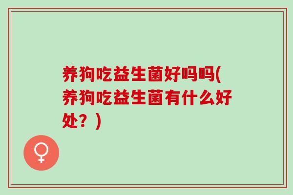 养狗吃益生菌好吗吗(养狗吃益生菌有什么好处？)