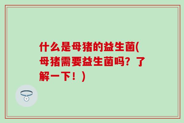 什么是母猪的益生菌(母猪需要益生菌吗？了解一下！)