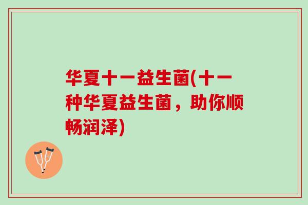 华夏十一益生菌(十一种华夏益生菌，助你顺畅润泽)
