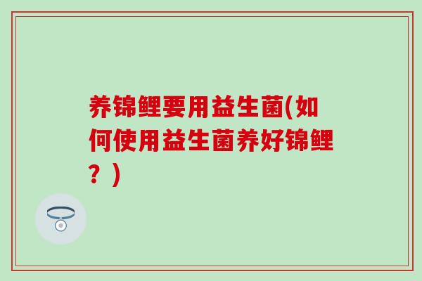 养锦鲤要用益生菌(如何使用益生菌养好锦鲤？)