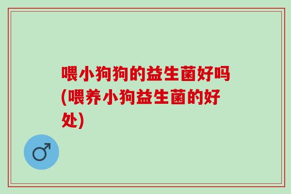 喂小狗狗的益生菌好吗(喂养小狗益生菌的好处)