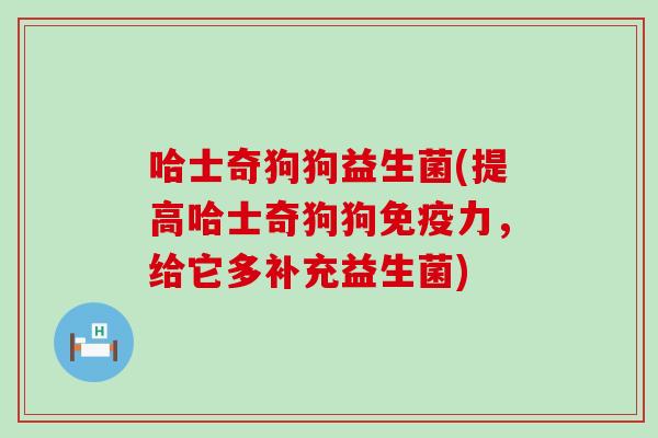 哈士奇狗狗益生菌(提高哈士奇狗狗免疫力，给它多补充益生菌)