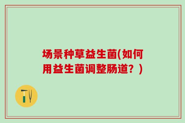 场景种草益生菌(如何用益生菌调整肠道？)