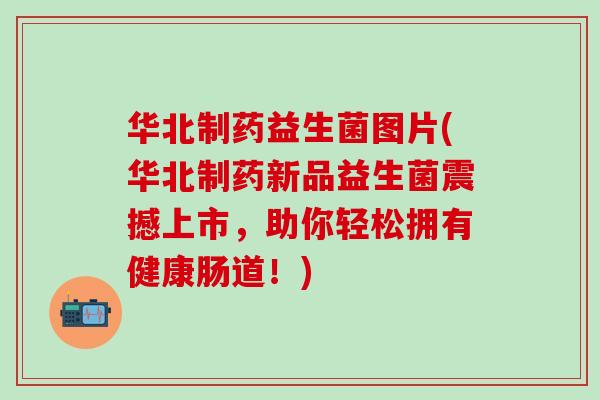 华北制药益生菌图片(华北制药新品益生菌震撼上市，助你轻松拥有健康肠道！)