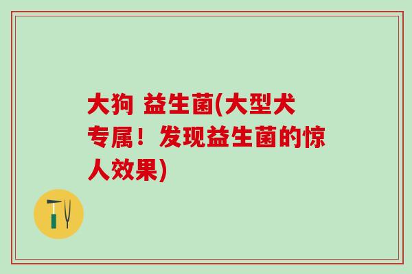 大狗 益生菌(大型犬专属！发现益生菌的惊人效果)