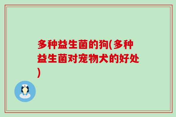 多种益生菌的狗(多种益生菌对宠物犬的好处) 多种益生菌的狗(多种益生菌对宠物犬的好处)