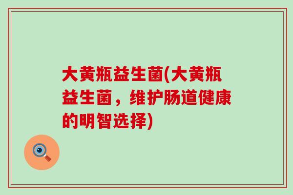 大黄瓶益生菌(大黄瓶益生菌，维护肠道健康的明智选择)