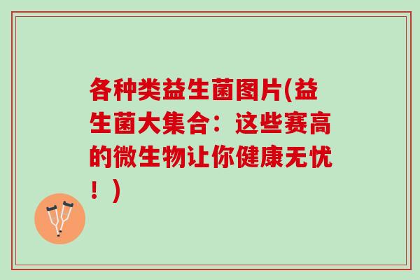 各种类益生菌图片(益生菌大集合：这些赛高的微生物让你健康无忧！)