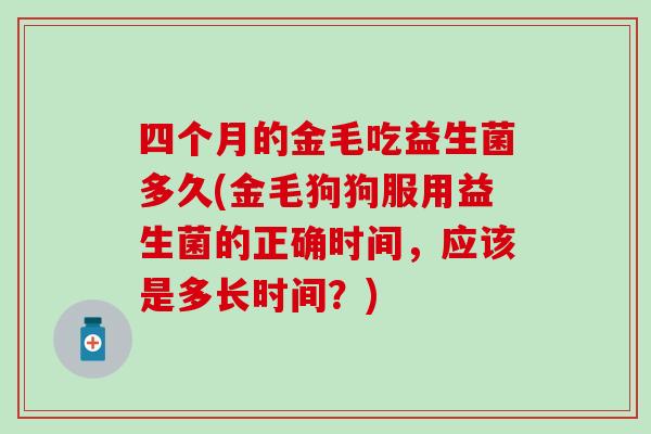 四个月的金毛吃益生菌多久(金毛狗狗服用益生菌的正确时间，应该是多长时间？)