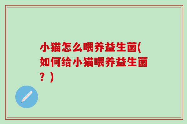小猫怎么喂养益生菌(如何给小猫喂养益生菌？)