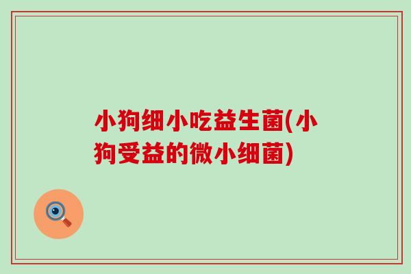 小狗细小吃益生菌(小狗受益的微小细菌)