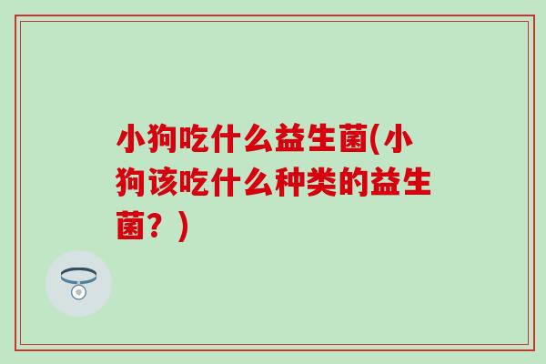 小狗吃什么益生菌(小狗该吃什么种类的益生菌？)