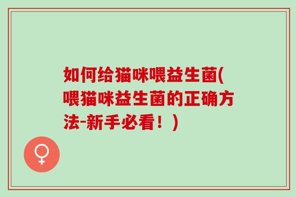 如何给猫咪喂益生菌(喂猫咪益生菌的正确方法-新手必看！)