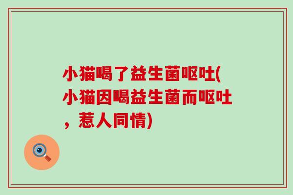 小猫喝了益生菌(小猫因喝益生菌而,惹人同情) 小猫喝了益生菌(小猫因喝益生菌而,惹人同情)