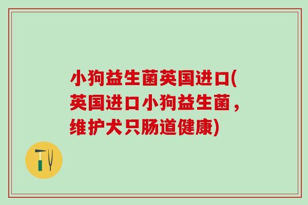 小狗益生菌英国进口(英国进口小狗益生菌，维护犬只肠道健康)