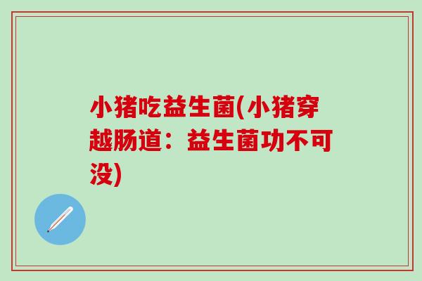 小猪吃益生菌(小猪穿越肠道：益生菌功不可没)
