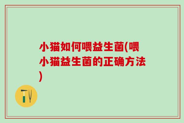 小猫如何喂益生菌(喂小猫益生菌的正确方法)