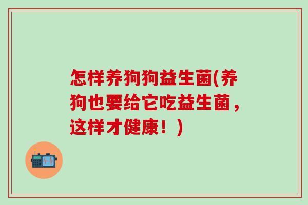 怎样养狗狗益生菌(养狗也要给它吃益生菌，这样才健康！)