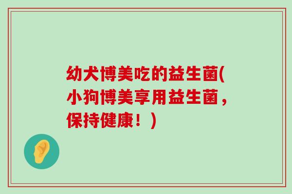幼犬博美吃的益生菌(小狗博美享用益生菌,保持健康!) 幼犬博美吃的益生菌(小狗博美享用益生菌,保持健康!)