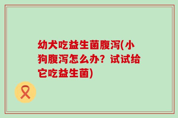 幼犬吃益生菌(小狗怎么办？试试给它吃益生菌)