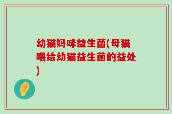 幼猫妈咪益生菌(母猫喂给幼猫益生菌的益处)