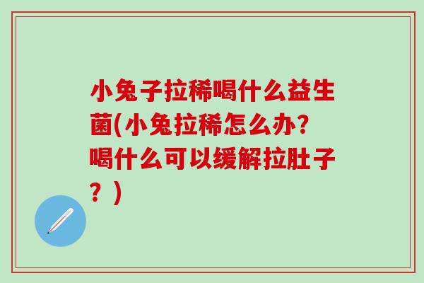 小兔子拉稀喝什么益生菌(小兔拉稀怎么办？喝什么可以缓解拉肚子？)