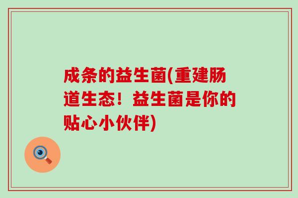 成条的益生菌(重建肠道生态！益生菌是你的贴心小伙伴)