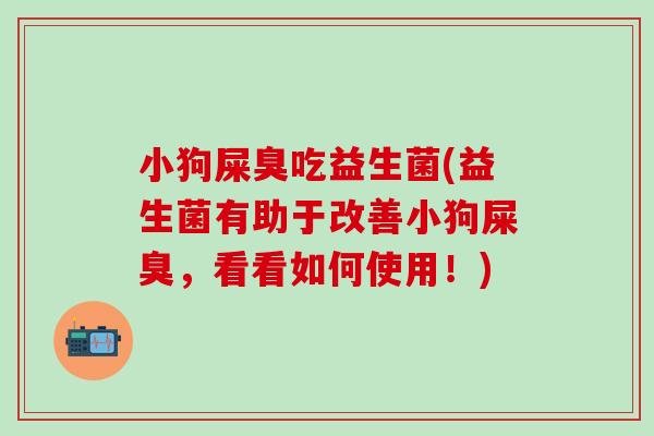 小狗屎臭吃益生菌(益生菌有助于改善小狗屎臭，看看如何使用！)