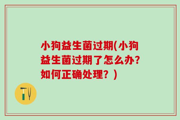 小狗益生菌过期(小狗益生菌过期了怎么办？如何正确处理？)