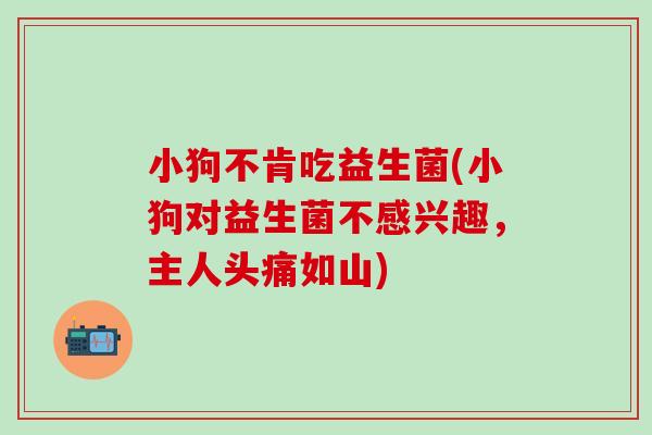 小狗不肯吃益生菌(小狗对益生菌不感兴趣，主人头痛如山)