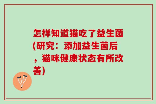 怎样知道猫吃了益生菌(研究：添加益生菌后，猫咪健康状态有所改善)