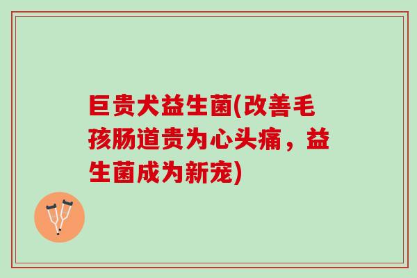 巨贵犬益生菌(改善毛孩肠道贵为心头痛，益生菌成为新宠)