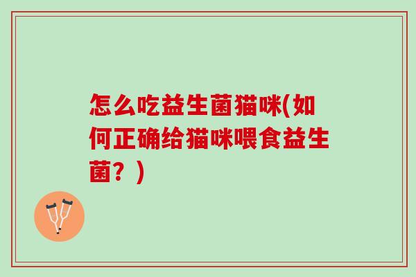 怎么吃益生菌猫咪(如何正确给猫咪喂食益生菌？)