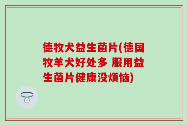 德牧犬益生菌片(德国牧羊犬好处多 服用益生菌片健康没烦恼) 德牧犬益生菌片(德国牧羊犬好处多 服用益生菌片健康没烦恼)