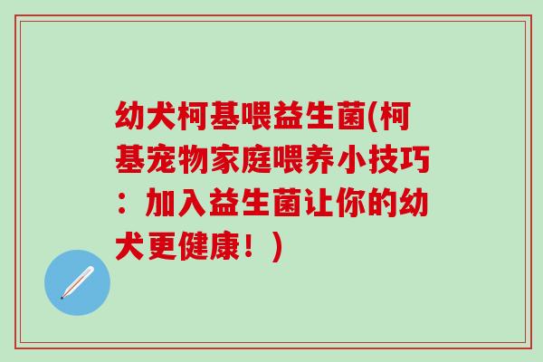幼犬柯基喂益生菌(柯基宠物家庭喂养小技巧:加入益生菌让你的幼犬更健康!) 幼犬柯基喂益生菌(柯基宠物家庭喂养小技巧:加入益生菌让你的幼犬更健康!)