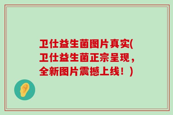 卫仕益生菌图片真实(卫仕益生菌正宗呈现，全新图片震撼上线！)
