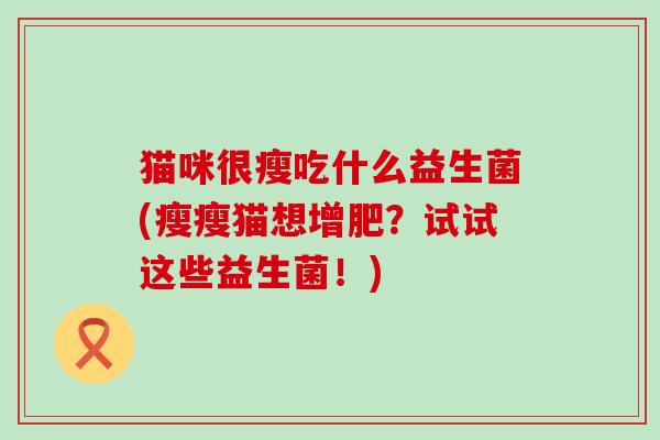 猫咪很瘦吃什么益生菌(瘦瘦猫想增肥?试试这些益生菌!) 猫咪很瘦吃什么益生菌(瘦瘦猫想增肥?试试这些益生菌!)