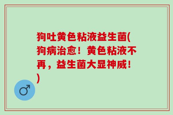 狗吐黄色粘液益生菌(狗病治愈！黄色粘液不再，益生菌大显神威！)