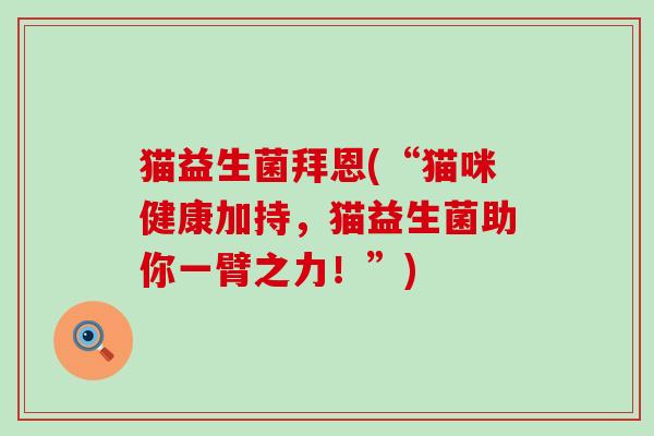 猫益生菌拜恩(“猫咪健康加持，猫益生菌助你一臂之力！”)