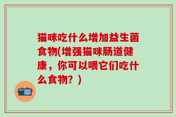 猫咪吃什么增加益生菌食物(增强猫咪肠道健康，你可以喂它们吃什么食物？)