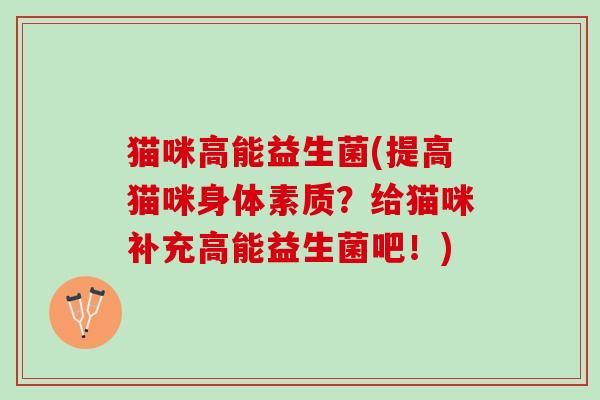 猫咪高能益生菌(提高猫咪身体素质？给猫咪补充高能益生菌吧！)