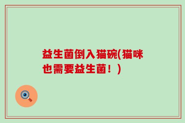 益生菌倒入猫碗(猫咪也需要益生菌！)