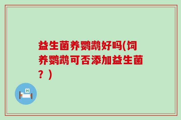 益生菌养鹦鹉好吗(饲养鹦鹉可否添加益生菌？)