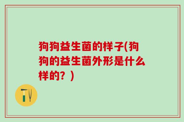 狗狗益生菌的样子(狗狗的益生菌外形是什么样的？)