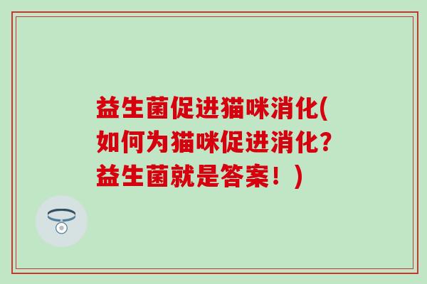 益生菌促进猫咪消化(如何为猫咪促进消化？益生菌就是答案！)