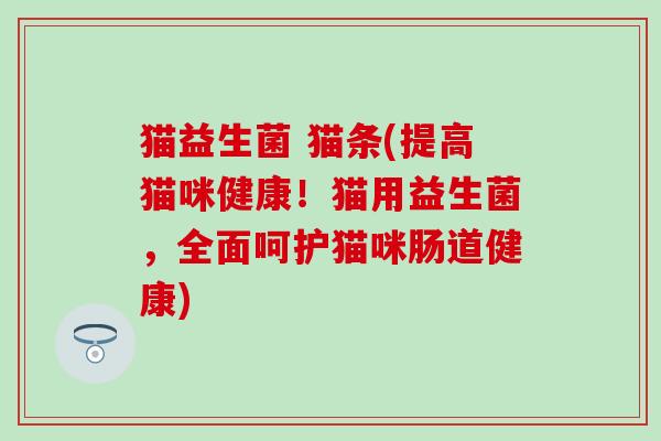 猫益生菌 猫条(提高猫咪健康！猫用益生菌，全面呵护猫咪肠道健康)