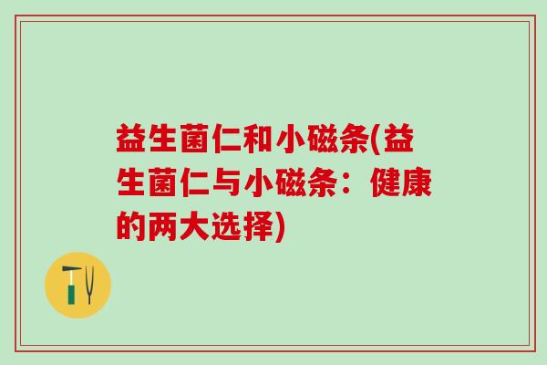 益生菌仁和小磁条(益生菌仁与小磁条：健康的两大选择)