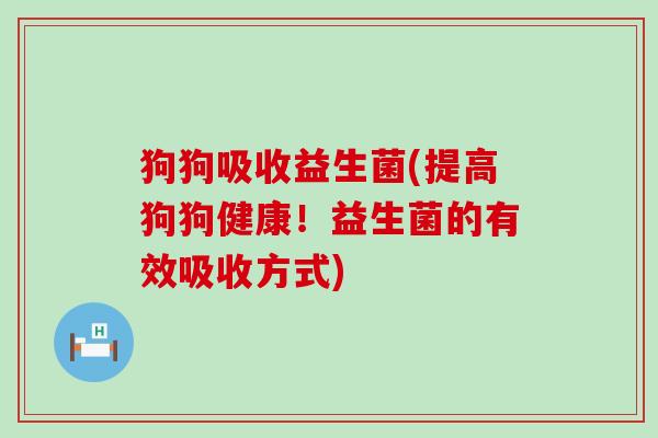 狗狗吸收益生菌(提高狗狗健康！益生菌的有效吸收方式)