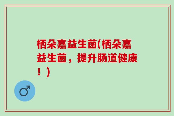 栖朵嘉益生菌(栖朵嘉益生菌，提升肠道健康！)